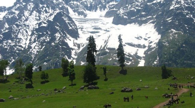 Tosa Maidan In Kashmir Is Now Open To Public