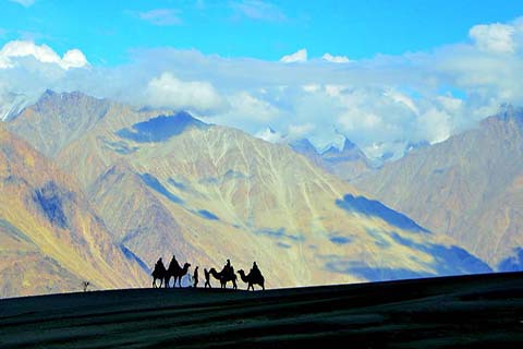 Foreign Tourists Can Now Visit The Nubra Valley in Ladakh With Ease