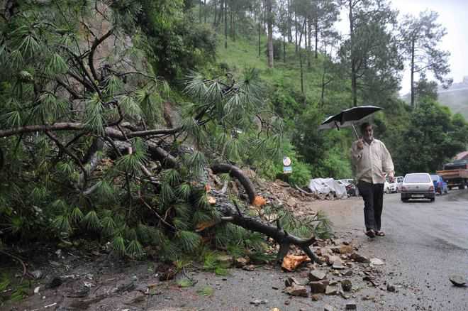 Residents Risk Their Lives As They Cross The River On An Uprooted Tree At Solang