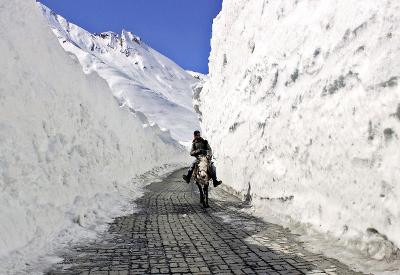 The Government Hopes to bid Global Players for the Rs. 9,000 Crore Project of Zojila Tunnel