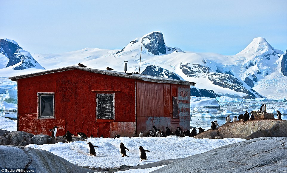 A Permanent Refuge Hut Built At Rohtang To Save People From Blizzard