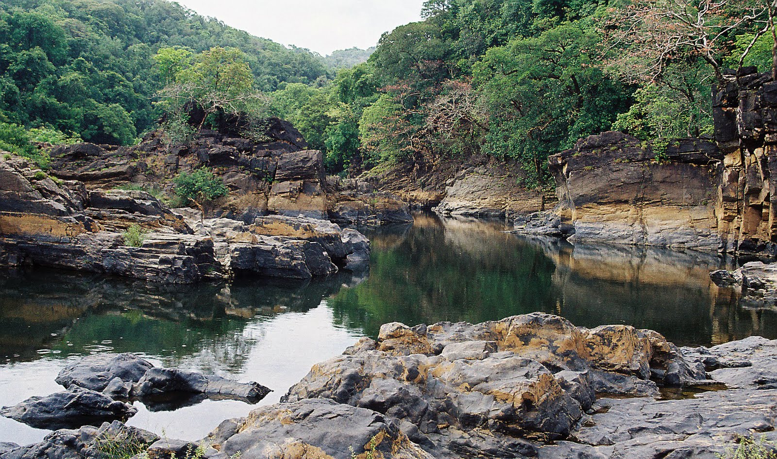 Permissions To Visit Bhimgad Reserve Forest Will Soon Go Online