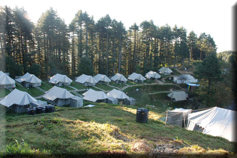 Camping for Students In Kanatal img