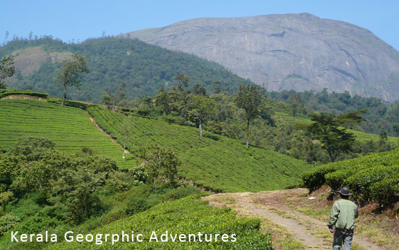 Munnar Neture Trail img